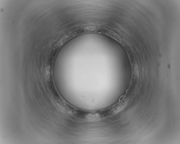 X0000070880271200607071955