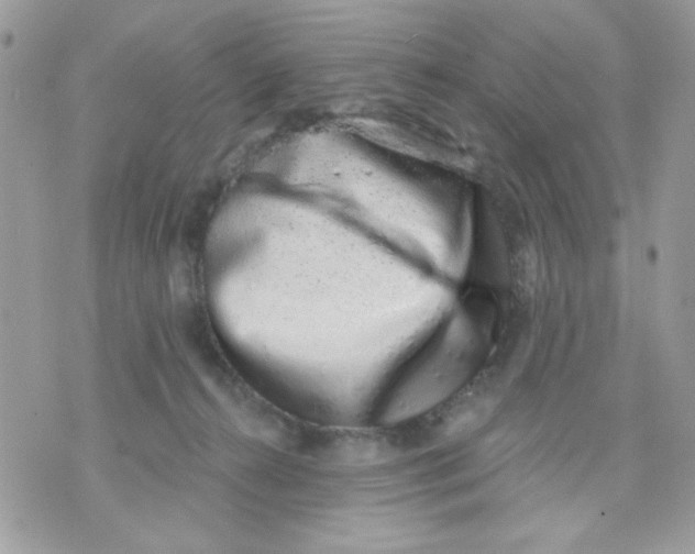 X0000070880272200607071955