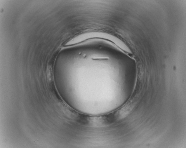 X0000070880273200607071955