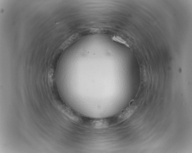 X0000070880275200607071955