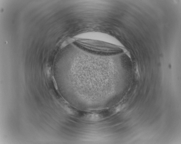 X0000070880276200607071955