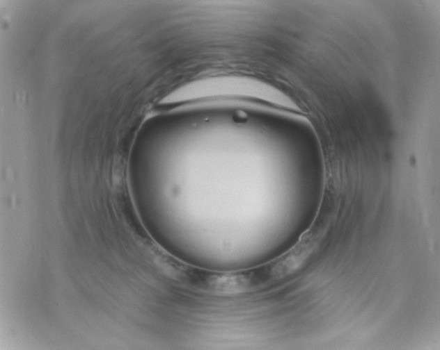 X0000070880277200607071955