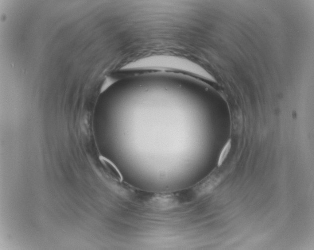 X0000070880280200607071955