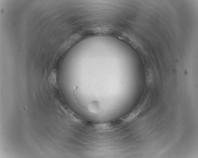 X0000070880281200607071955