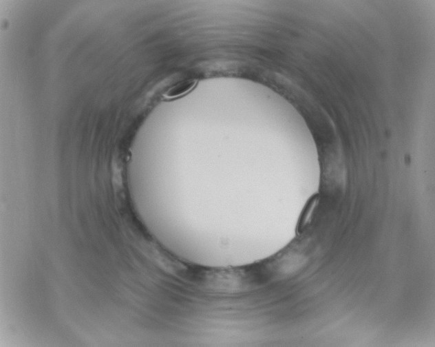 X0000070880282200607071955