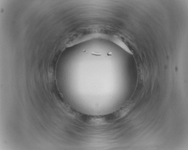 X0000070880283200607071955