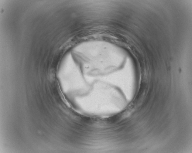 X0000070880284200607071955