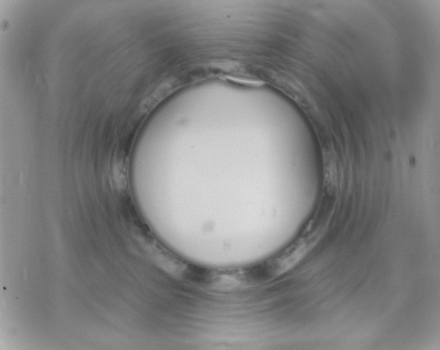 X0000070880285200607071955