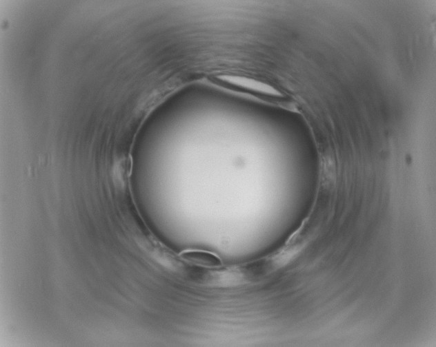 X0000070880286200607071955