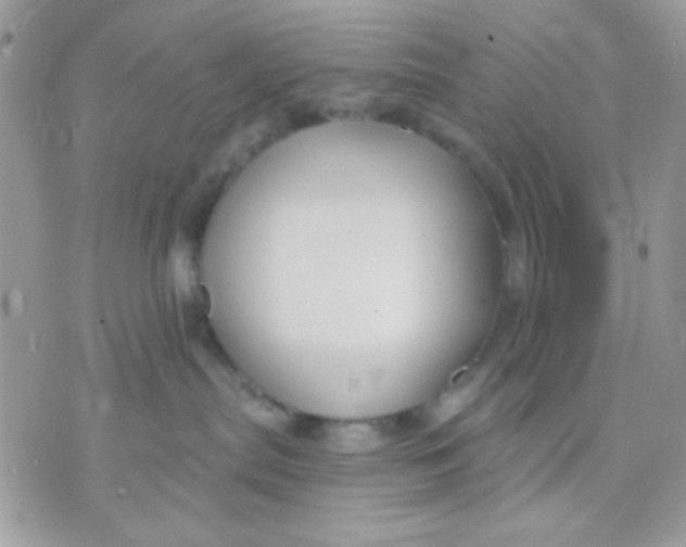 X0000070880287200607071955