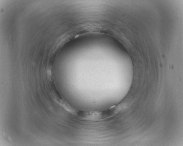 X0000070880288200607071955