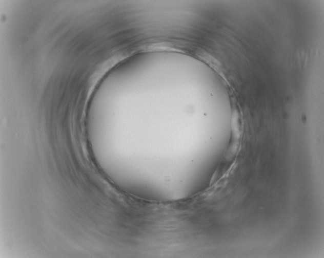 X0000070880289200607071955