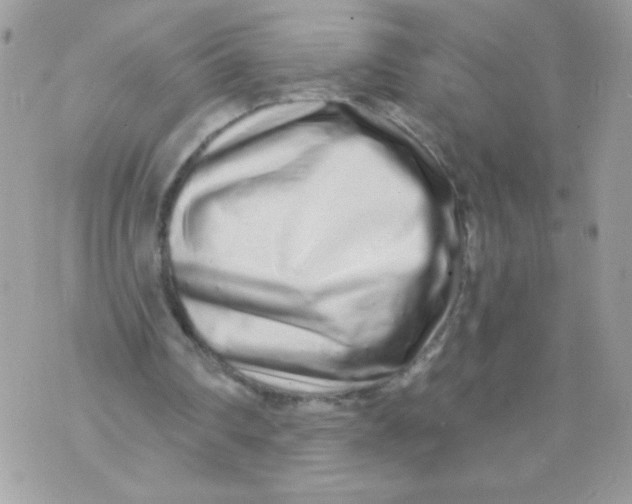 X0000070880290200607071954