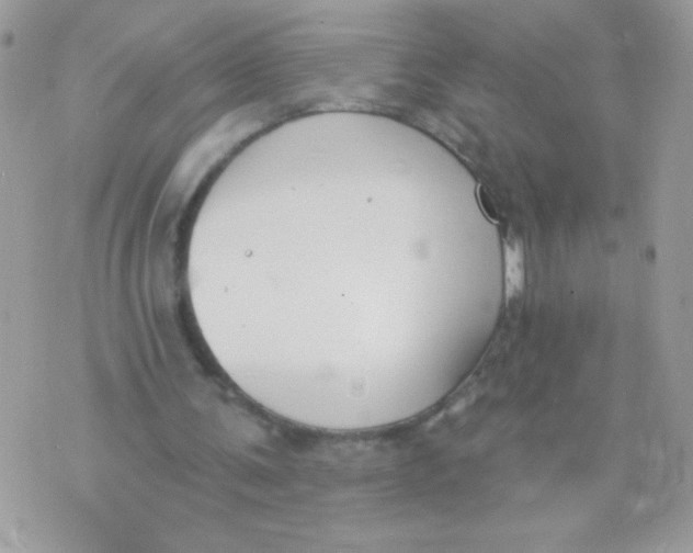 X0000070880291200607071954