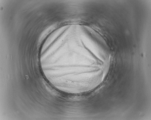 X0000070880293200607071954