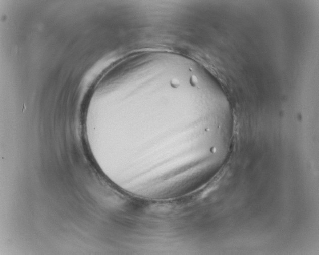 X0000070880294200607071954