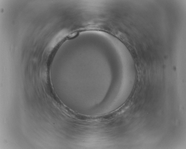 X0000070880295200607071954