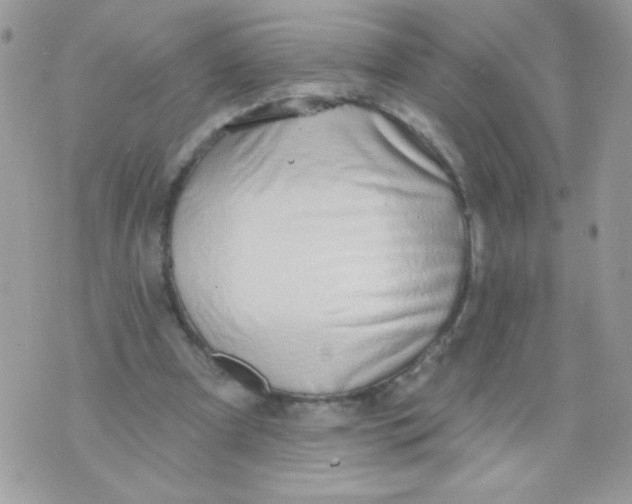 X0000070880297200607071954