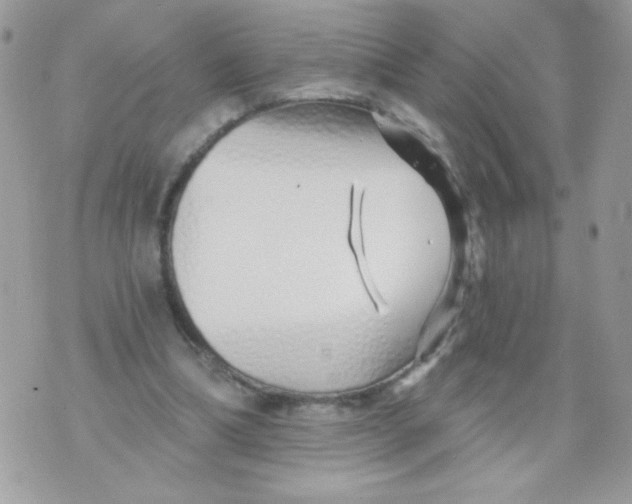 X0000070880298200607071954