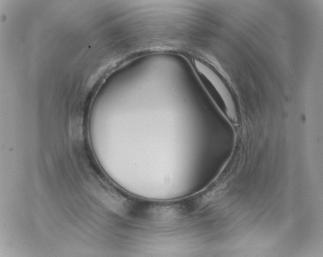 X0000070880299200607071954