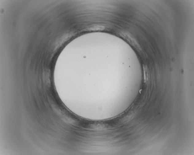 X0000070880300200607071954