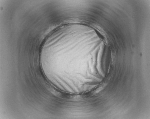 X0000070880301200607071954