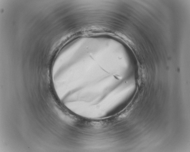 X0000070880302200607071954