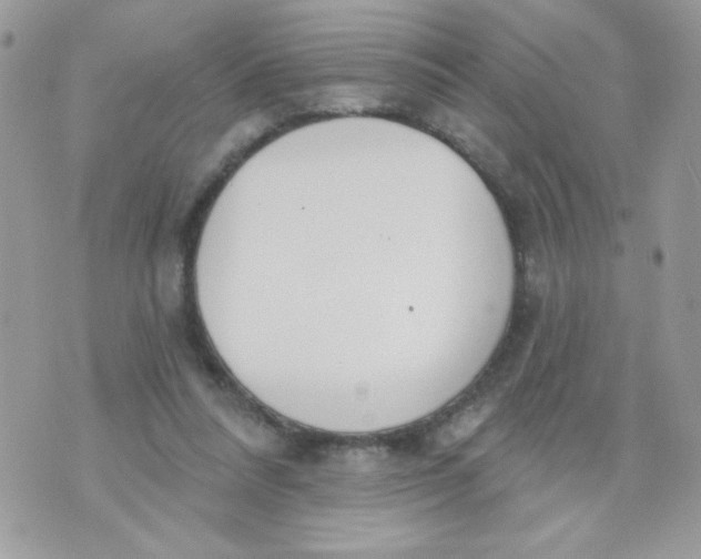 X0000070880304200607071954