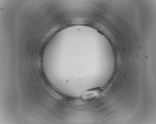 X0000070880305200607071954