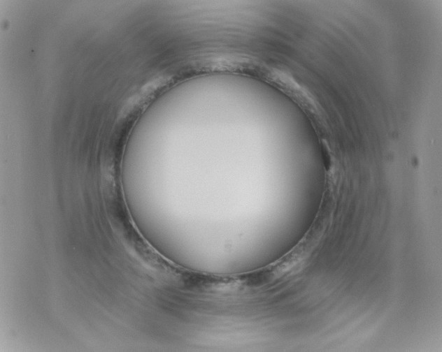 X0000070880306200607071954