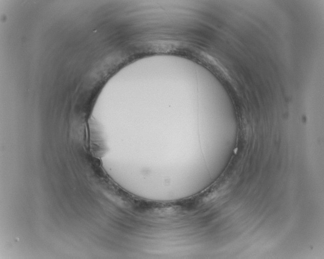 X0000070880307200607071954