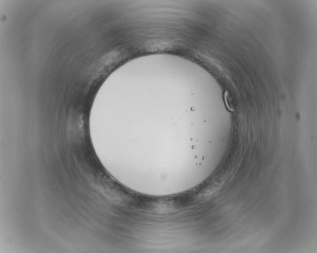 X0000070880308200607071954