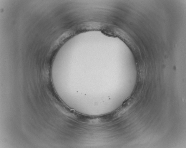 X0000070880309200607071954