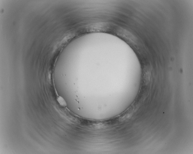 X0000070880310200607071954