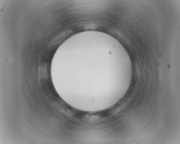 X0000070880311200607071954