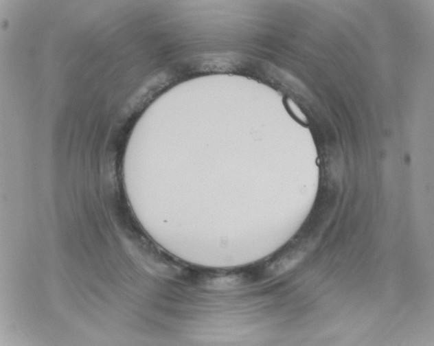 X0000070880312200607071954