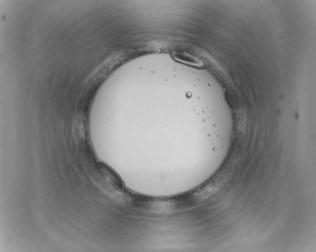 X0000070880313200607071954