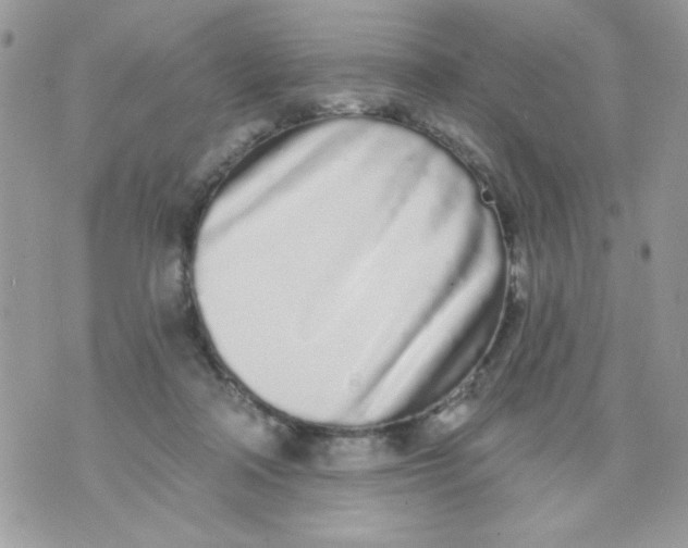 X0000070880314200607071954