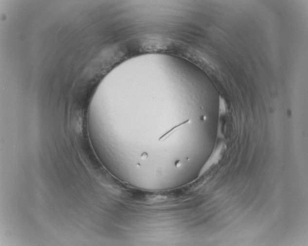 X0000070880315200607071954