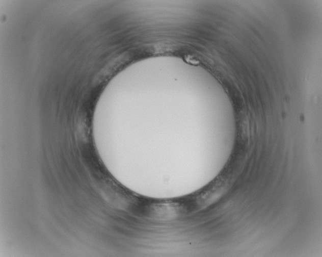 X0000070880316200607071954