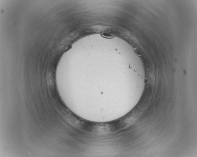 X0000070880317200607071954