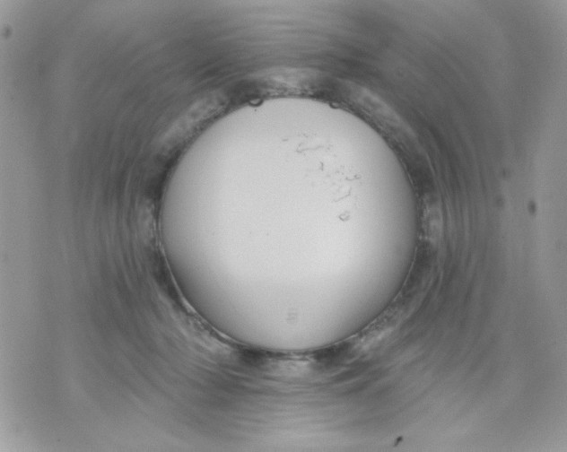 X0000070880318200607071954