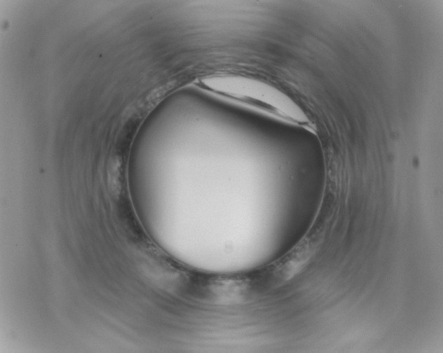 X0000070880319200607071954