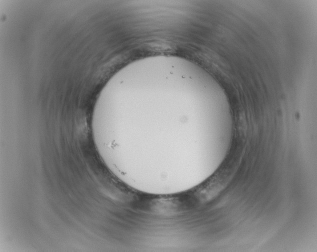 X0000070880320200607071954