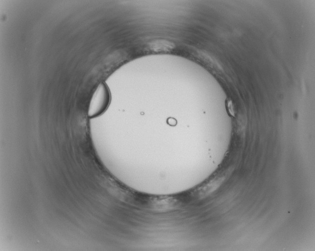 X0000070880321200607071954