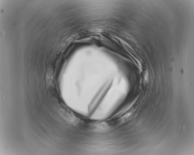 X0000070880322200607071954