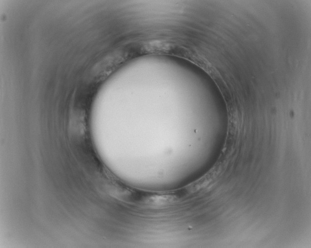 X0000070880323200607071954