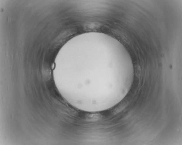 X0000070880324200607071954