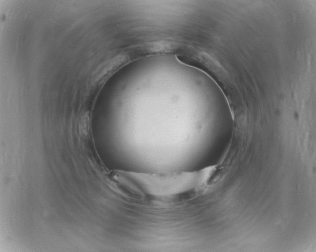 X0000070880325200607071954