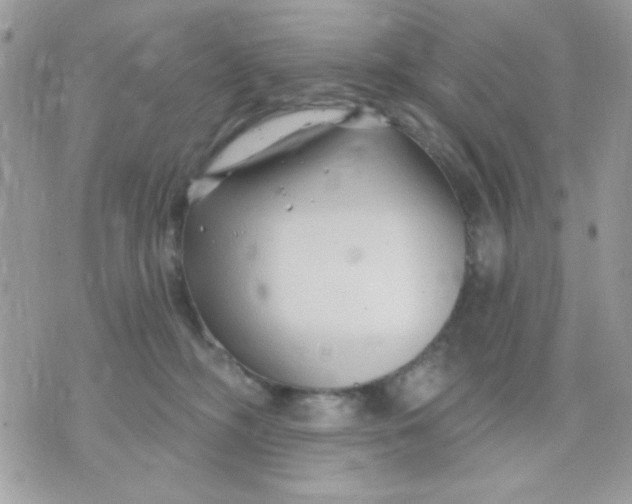 X0000070880326200607071954